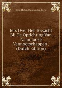 Iets Over Het Toezicht Bij De Oprichting Van Naamlooze Vennootschappen . (Dutch Edition)