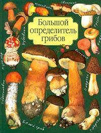 Большой определитель грибов - (Определители)