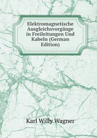 Elektromagnetische Ausgleichsvorg?nge in Freileitungen Und Kabeln (German Edition)