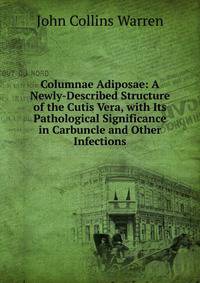 Columnae Adiposae: A Newly-Described Structure of the Cutis Vera, with Its Pathological Significance in Carbuncle and Other Infections