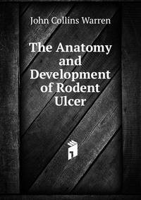 The Anatomy and Development of Rodent Ulcer