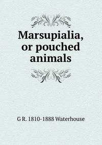 Marsupialia, or pouched animals