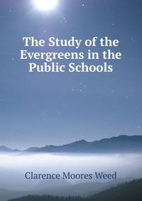 The Study of the Evergreens in the Public Schools