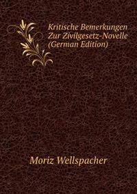 Kritische Bemerkungen Zur Zivilgesetz-Novelle (German Edition)