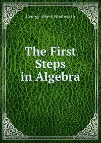 The First Steps in Algebra