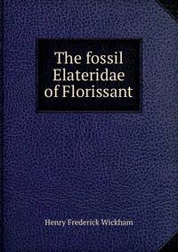 The fossil Elateridae of Florissant