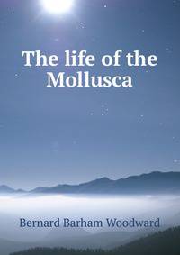 The life of the Mollusca
