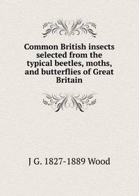 Common British insects selected from the typical beetles, moths, and butterflies of Great Britain