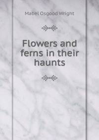Flowers and ferns in their haunts