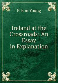 Ireland at the Crossroads: An Essay in Explanation