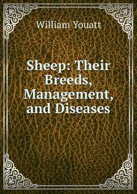 Sheep: Their Breeds, Management, and Diseases