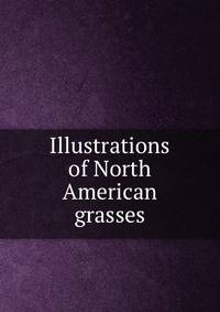 Illustrations of North American grasses