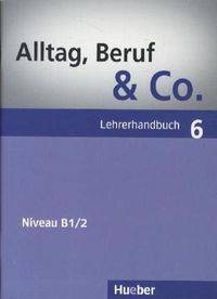 Alltag, Beruf & Co. 6, Lehrerhandbuch