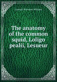 The anatomy of the common squid, Loligo pealii, Lesueur