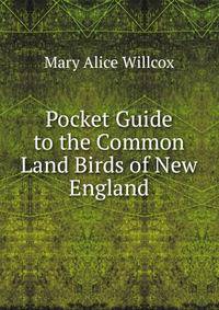 Pocket Guide to the Common Land Birds of New England