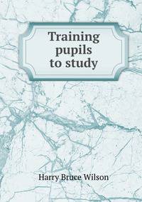 Training pupils to study