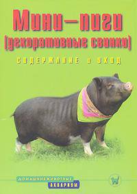 Мини-пиги (декоративные свинки). Содержание и уход