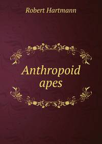 Anthropoid apes