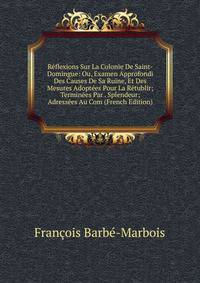 Reflexions Sur La Colonie De Saint-Domingue: Ou, Examen Approfondi Des Causes De Sa Ruine, Et Des Mesures Adoptees Pour La Retublir; Terminees Par . Splendeur; Adressees Au Com (French Edition)