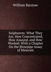 Sulphurets: What They Are, How Concentrated, How Assayed, and How Worked: With a Chapter On the Blowpipe Assay of Minerals