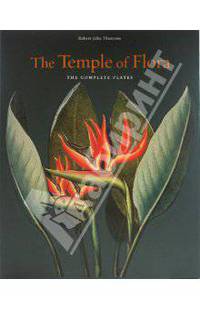 Robert John Thornton: The Temple of Flora