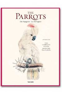 Parrots / Попугаи (42 постера)