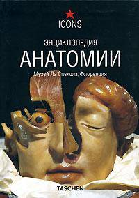 Энциклопедия анатомии. Музей Ла Спекола, Флоренция / Encyclopaedia Anatomica: Museo La Specola Florence