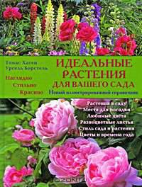 Идеальные растения для вашего сада
