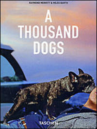 A Thousand Dogs