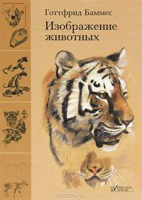 Изображение человека. Основы рисунка с натуры