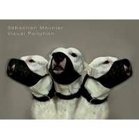 Sebastien Meunier. Visual Pollution
