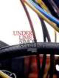 Simon Starling: Under Lime