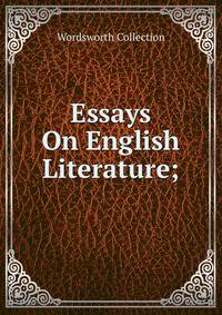 Essays On English Literature;