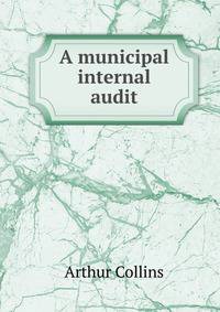 A municipal internal audit