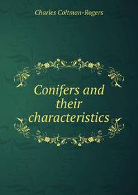 Conifers and their characteristics