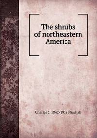 The shrubs of northeastern America