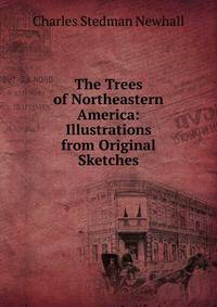 The Trees of Northeastern America: Illustrations from Original Sketches