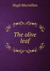 The olive leaf