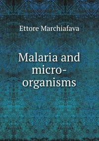 Malaria and micro-organisms