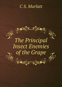 The Principal Insect Enemies of the Grape