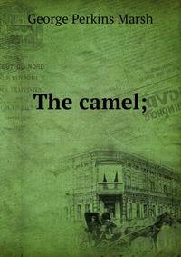 The camel;