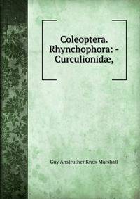 Coleoptera. Rhynchophora: -Curculionid?,