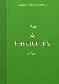 A Fasciculus