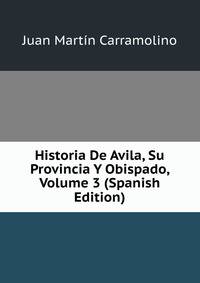Historia De Avila, Su Provincia Y Obispado, Volume 3 (Spanish Edition)