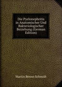 Die Pyelonephritis in Anatomischer Und Bakteriologischer Beziehung (German Edition)