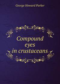 Compound eyes in crustaceans