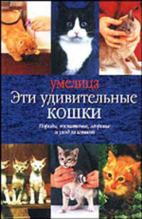 Эти удивительные кошки - (Умелица)