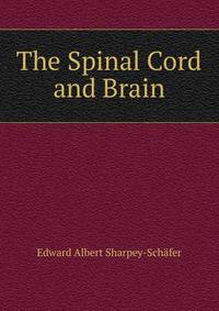The Spinal Cord and Brain
