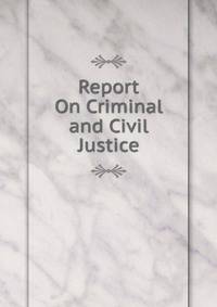 Report On Criminal and Civil Justice