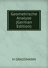 Geometrische Analyse (German Edition)